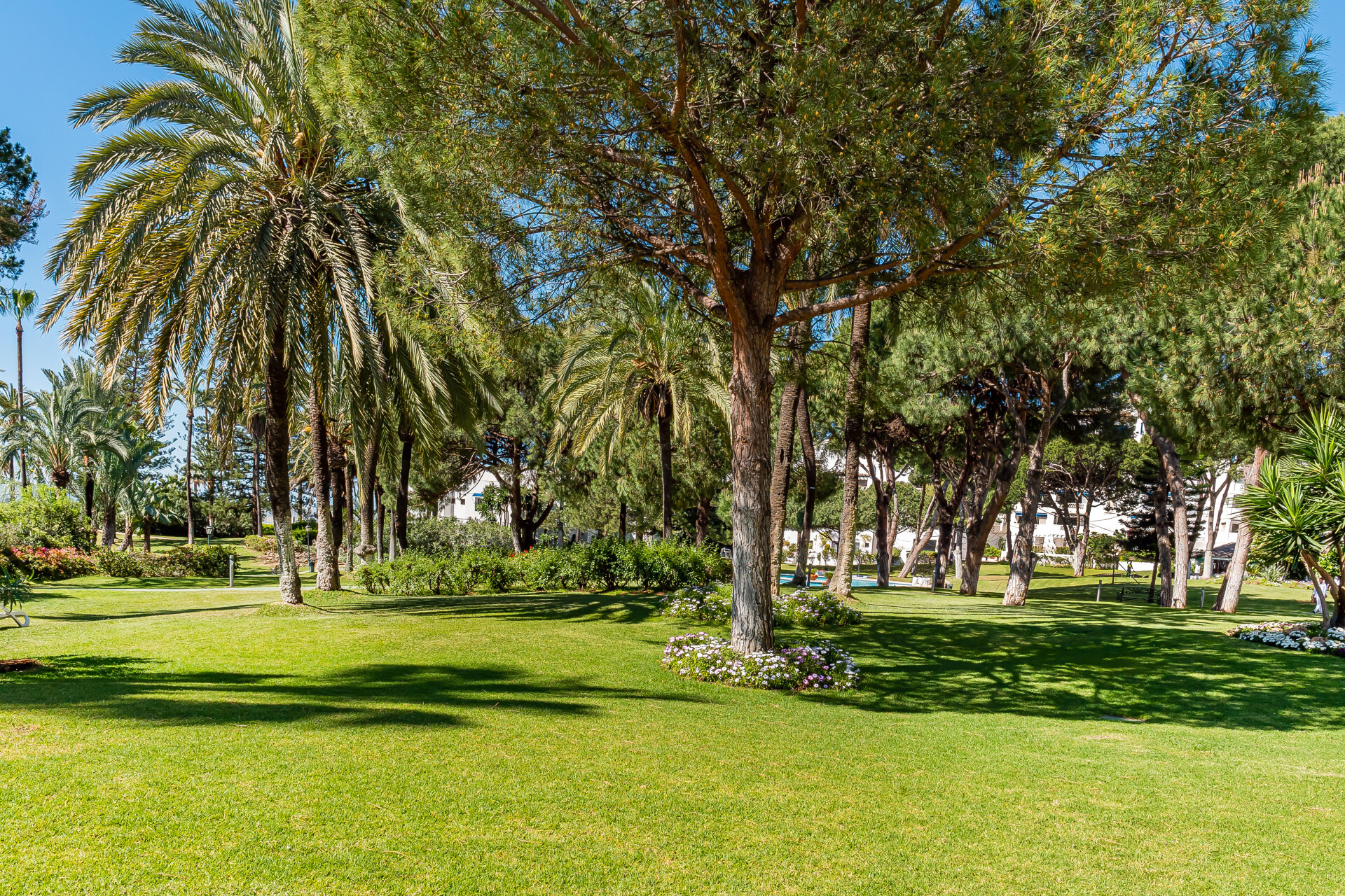 Appartement Playas del Duque, Marbella - Marbella - Puerto Banús - Appartement | 42